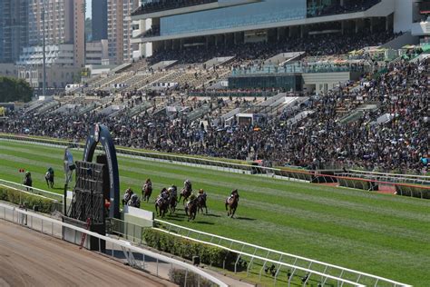 betting websites usa|Technology and ‘McDonaldisation’ of sites like Citibet .